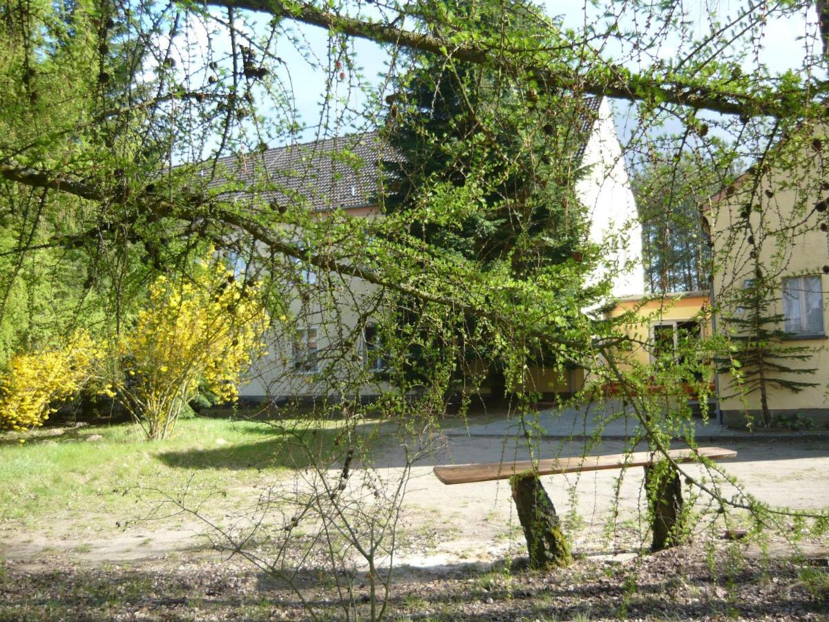 Grosse Wohnung Nossentiner Huette Buitenkant foto